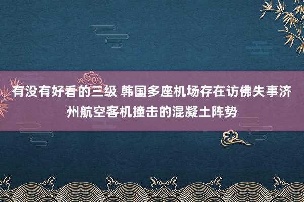 有没有好看的三级 韩国多座机场存在访佛失事济州航空客机撞击的混凝土阵势