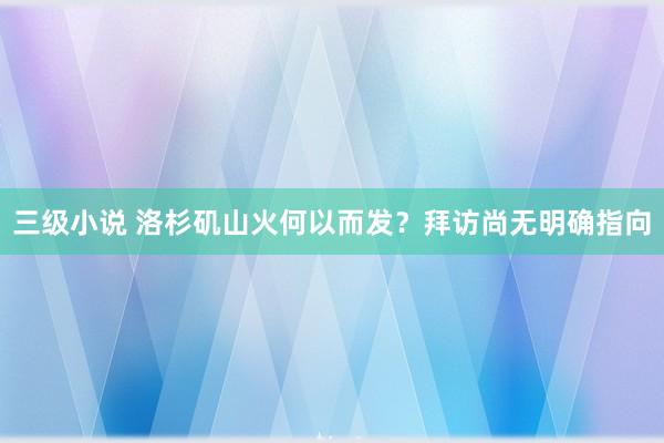 三级小说 洛杉矶山火何以而发？拜访尚无明确指向